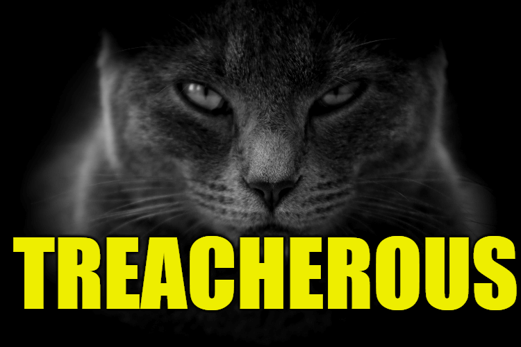 Use Treacherous in a Sentence - How to use "Treacherous" in a sentence