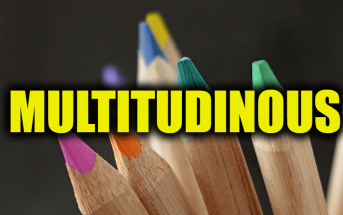 Use Multitudinous in a Sentence - How to use "Multitudinous" in a sentence