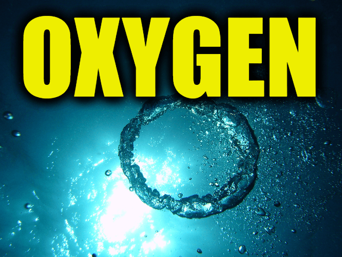 Use Oxygen in a Sentence - How to use "Oxygen" in a sentence
