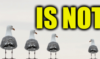 Use Is Not in a Sentence - How to use "Is Not" in a sentence