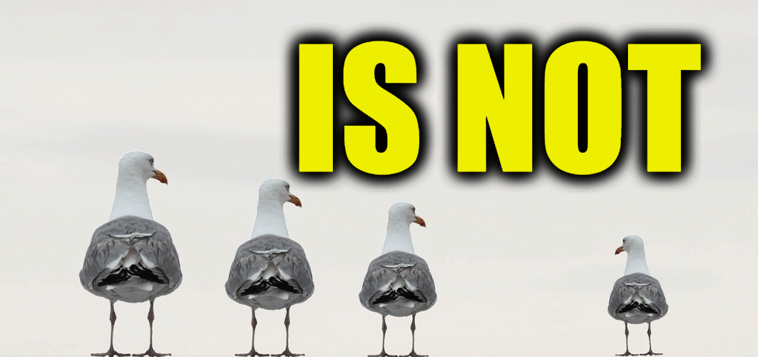 Use Is Not in a Sentence - How to use "Is Not" in a sentence