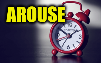 Use Arouse in a Sentence - How to use "Arouse" in a sentence
