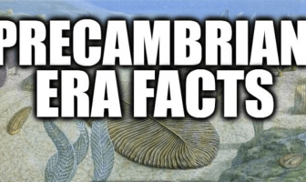 PreCambrian Era Facts