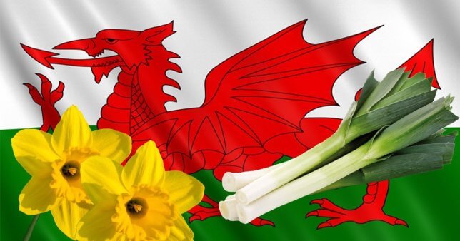 Happy St. David’s Day Wishes, Messages, Quotes and Sayings
