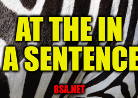 Use At The in a Sentence, Exploring the Meaning and Usage of “At The” in English