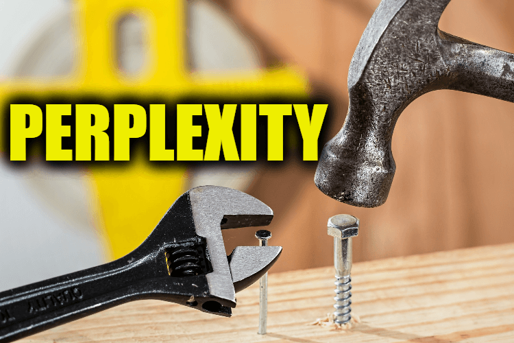 Use Perplexity in a Sentence - How to use "Perplexity" in a sentence
