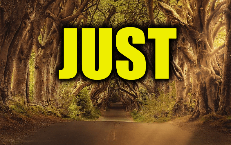 Use Just in a Sentence - How to use "Just" in a sentence