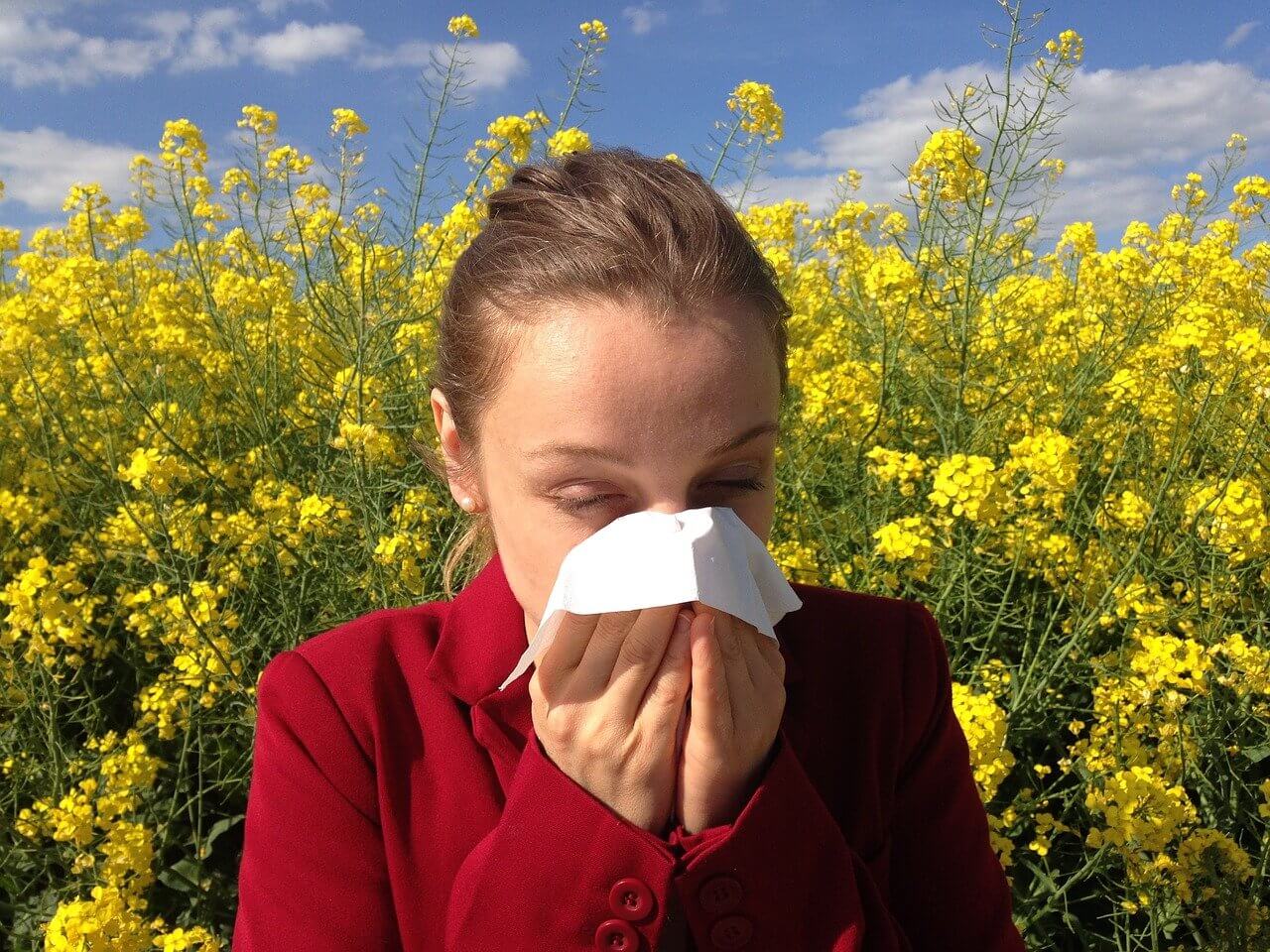 Tips to Fight Seasonal Allergies