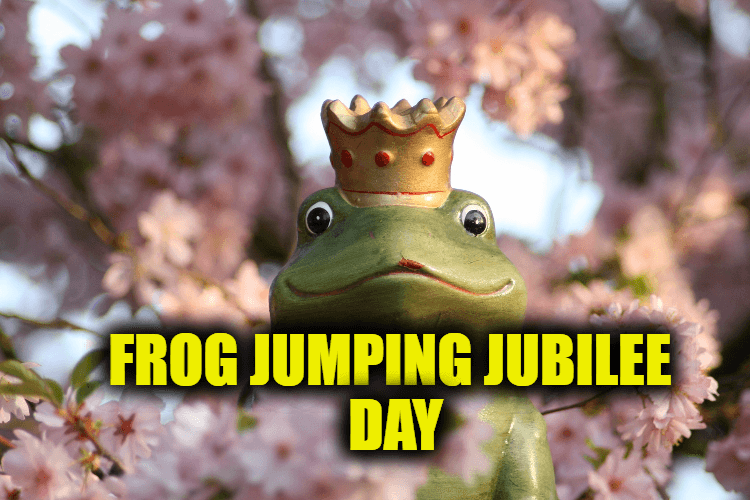 Frog Jumping Jubilee Day