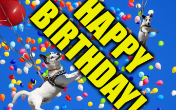 Funny Birthday Wishes and Messages - Birthdays are a special moment