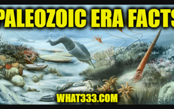 Paleozoic Era Facts