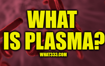 What is Plasma? Information About Blood Plasma