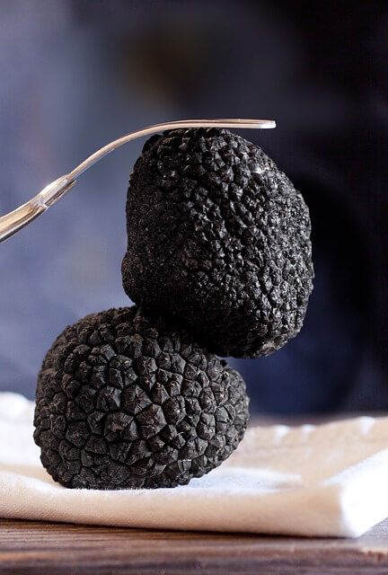 Information About Truffle Mushrooms - What are the characteristics of...