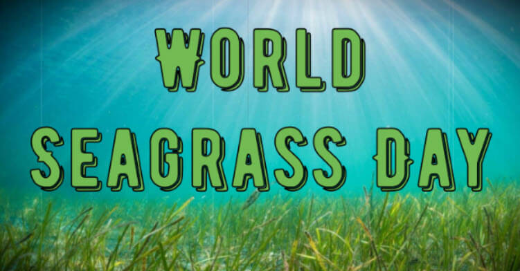 World Seagrass Day (March 1)
