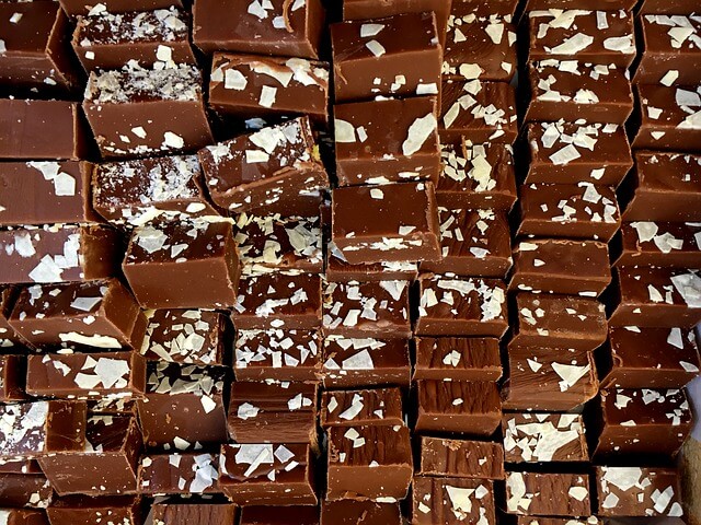 What is National Fudge Day (June 16) and Fudge Day Activities