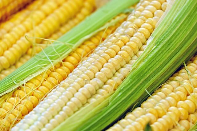 What is National Corn on the Cob Day (June 11) & Activities