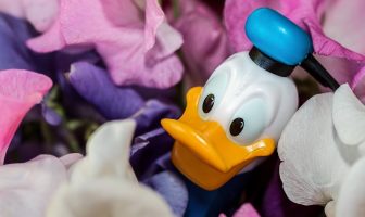 What is National Donald Duck Day (June 9) and Activities