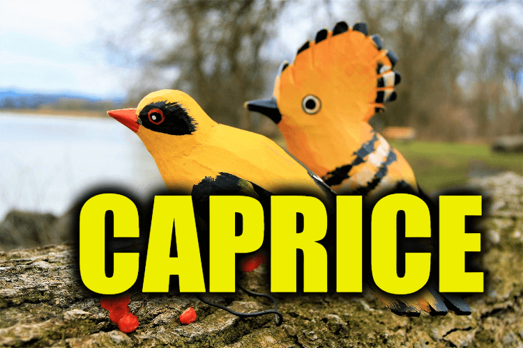 Use Caprice in a Sentence - How to use "Caprice" in a sentence
