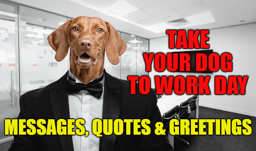 Take Your Dog To Work Day Messages, Quotes & Greetings