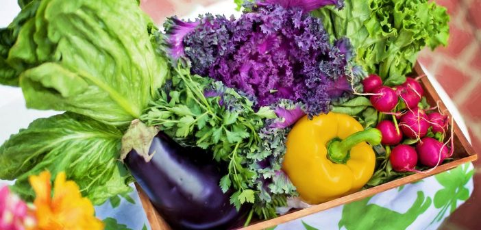 What is the Importance of Vegetables for Human Health? Benefits and Requirements