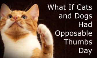 What If Cats and Dogs Had Opposable Thumbs Day (March 3)