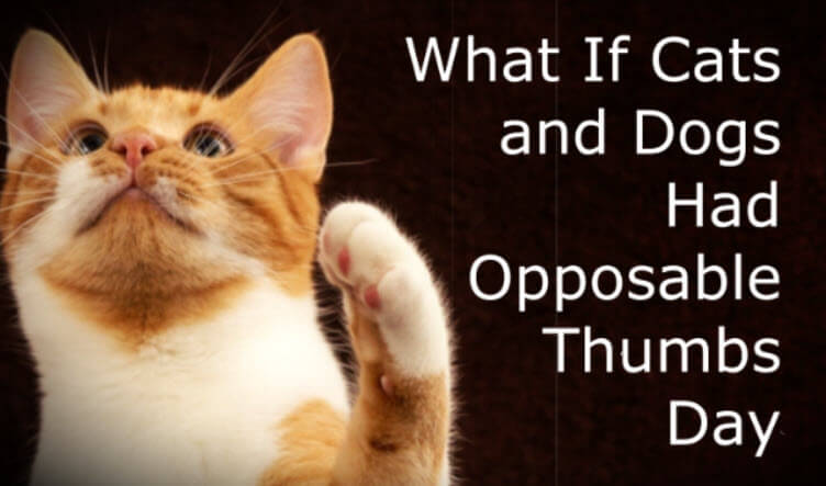 What If Cats and Dogs Had Opposable Thumbs Day (March 3)