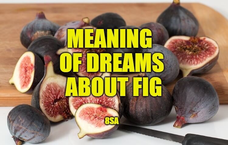 fig dream