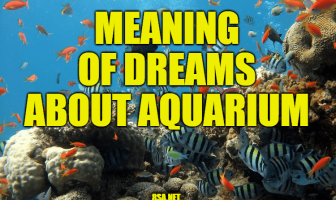 What Does Aquarium Mean In A Dream
