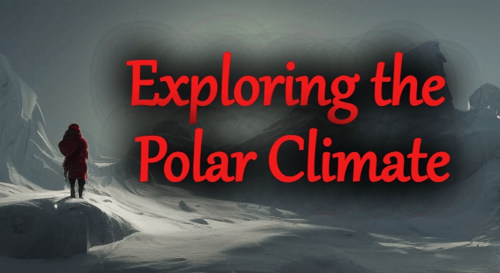 Exploring the Polar Climate