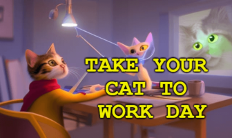 National Take Your Cat to Work Day