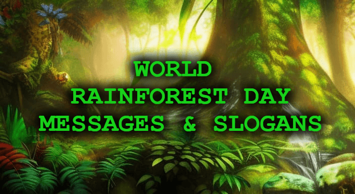 World Rainforest Day Messages and Quotes