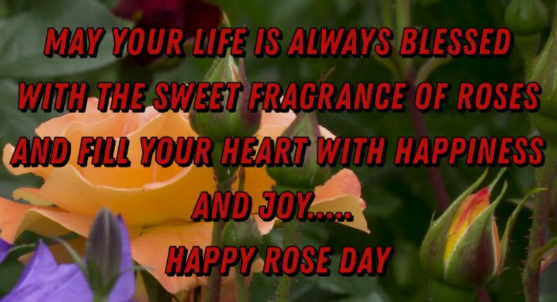 Beautiful Rose Day Messages for Friends – Rose Day Wishes