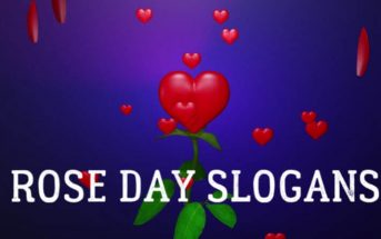 Rose Day Status – Rose Day Whatsapp and Facebook Messages