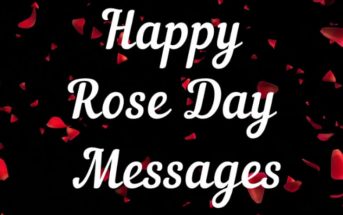 Happy Rose Day Messages : Rose Day Quotes, Wishes