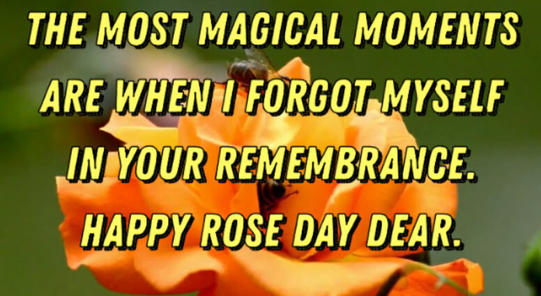 Romantic Rose Day Wishes for Boyfriend & Girlfriend
