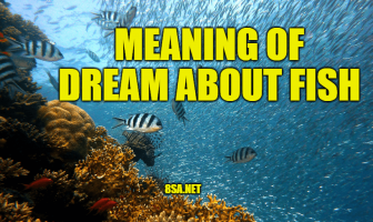 What Does Fish Mean In A Dream? Meaning of Dreams About Fishes
