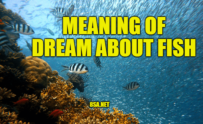 What Does Fish Mean In A Dream? Meaning of Dreams About Fishes