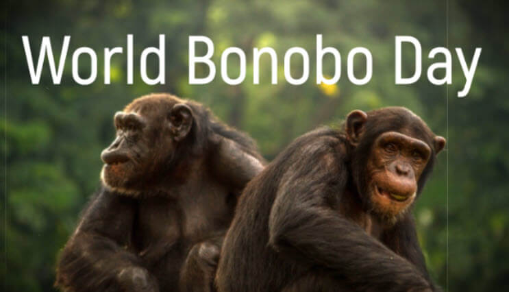 world bonobo day