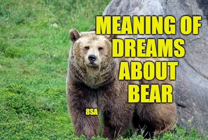 Dreams About Bear