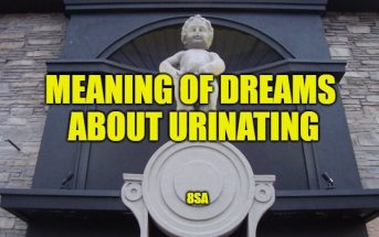 Meaning of Dreams About Urinating