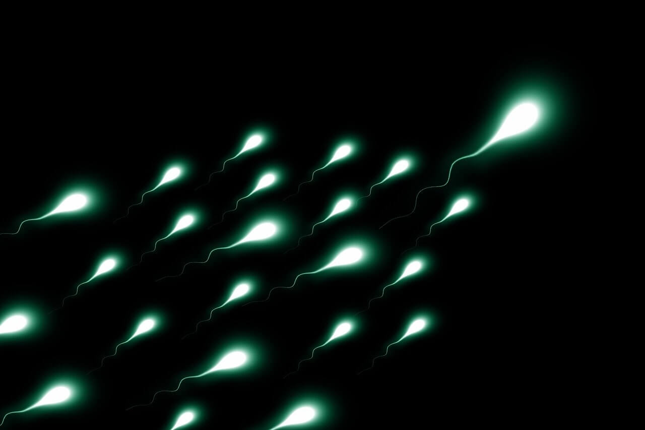 Does Stress Affect Sperm Quality? How to Have Healthy Sperm?