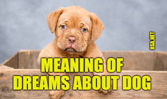 What Does Dog Mean in a Dream? Meaning of Dreams About Dogs