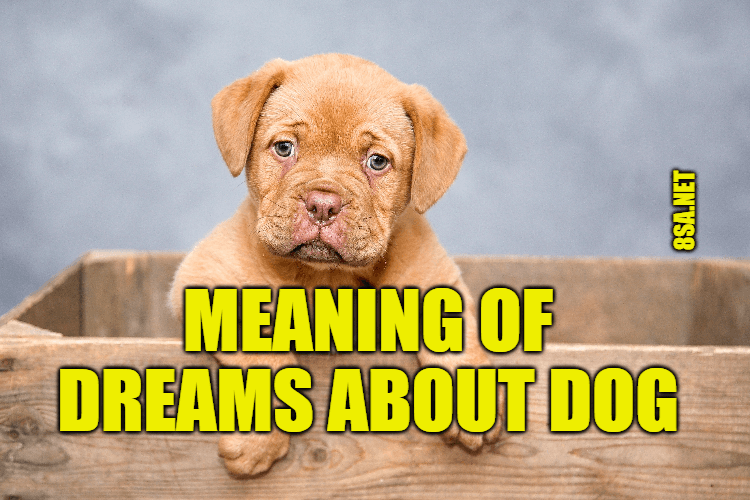 What Does Dog Mean in a Dream? Meaning of Dreams About Dogs