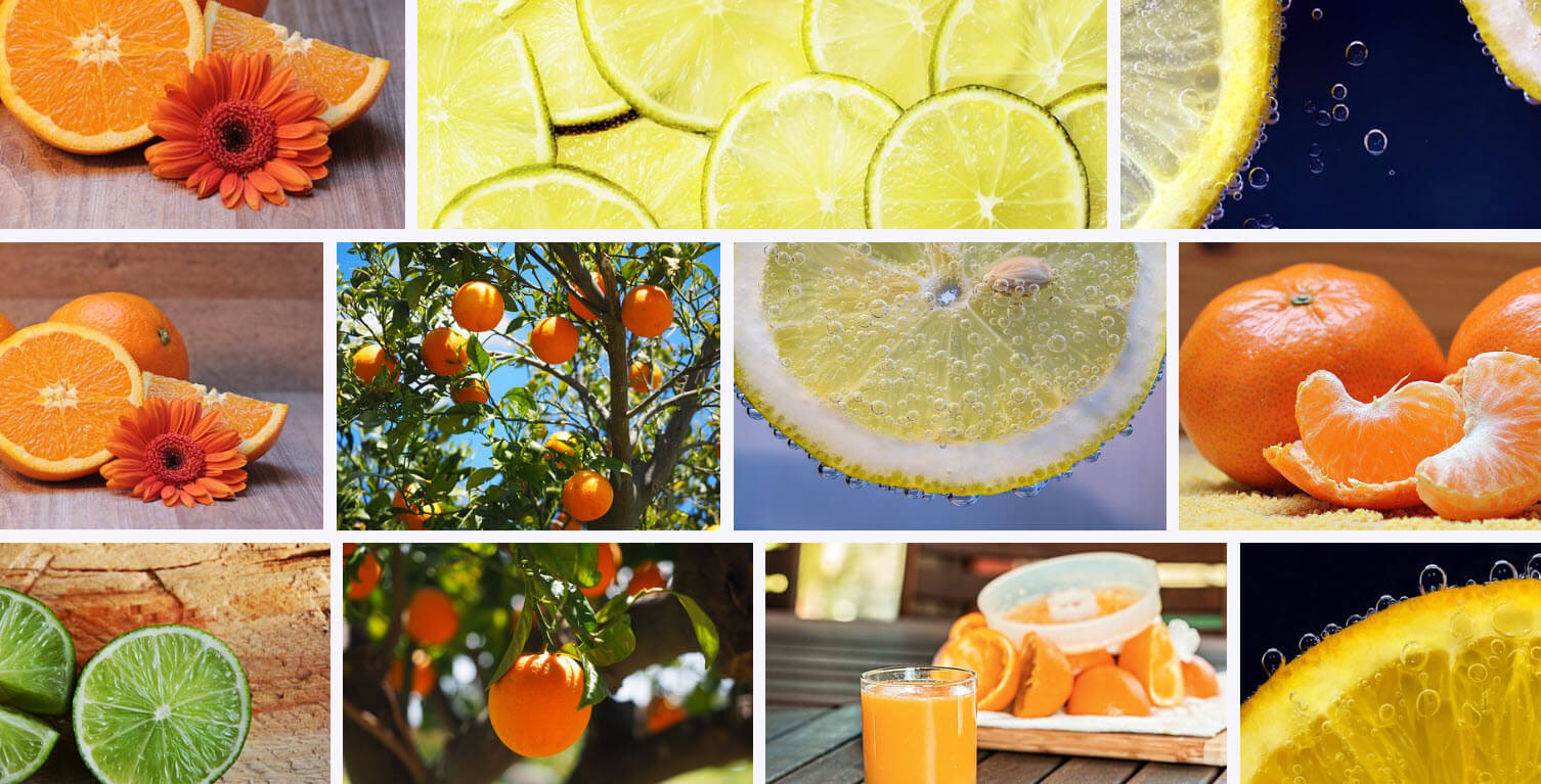 Celebrating National Vitamin C Day: Wishes, Messages, and Slogans