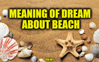 What Does Beach Mean In A Dream? Meaning of Dreams About Beach
