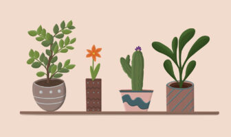 International Plant Appreciation Day (April 13)