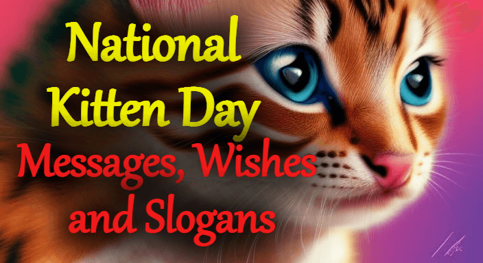 National Kitten Day messages wishes