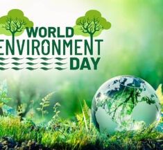 World Environment Day (June 5), History, Activities, and How to Get Involved