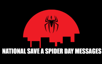National Save a Spider Day Messages