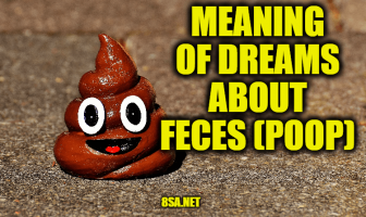 What Does Feces (Poop) Mean in a Dream? Meaning of Dreams About Pooping